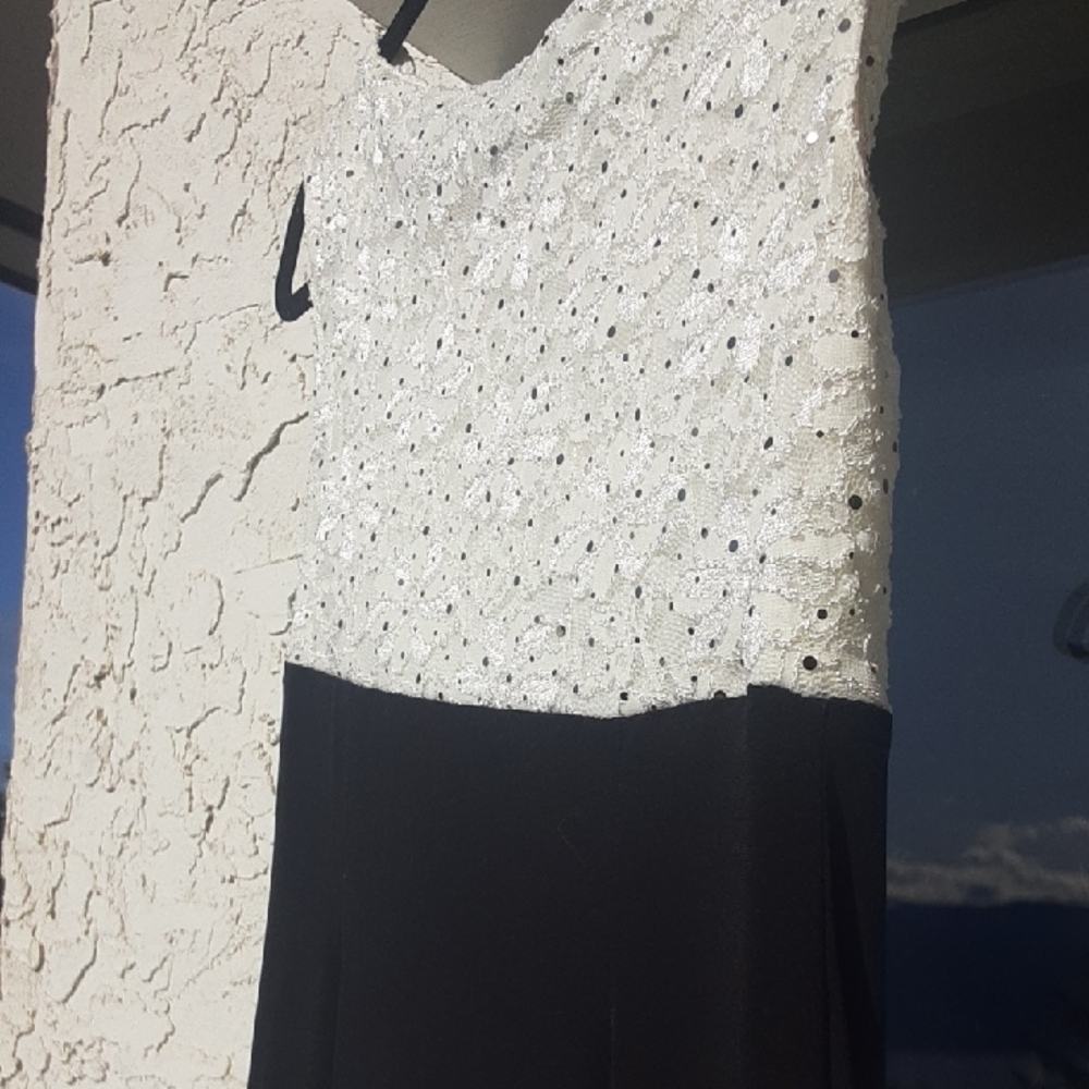 Elegant Black and White Sleeveless Dress